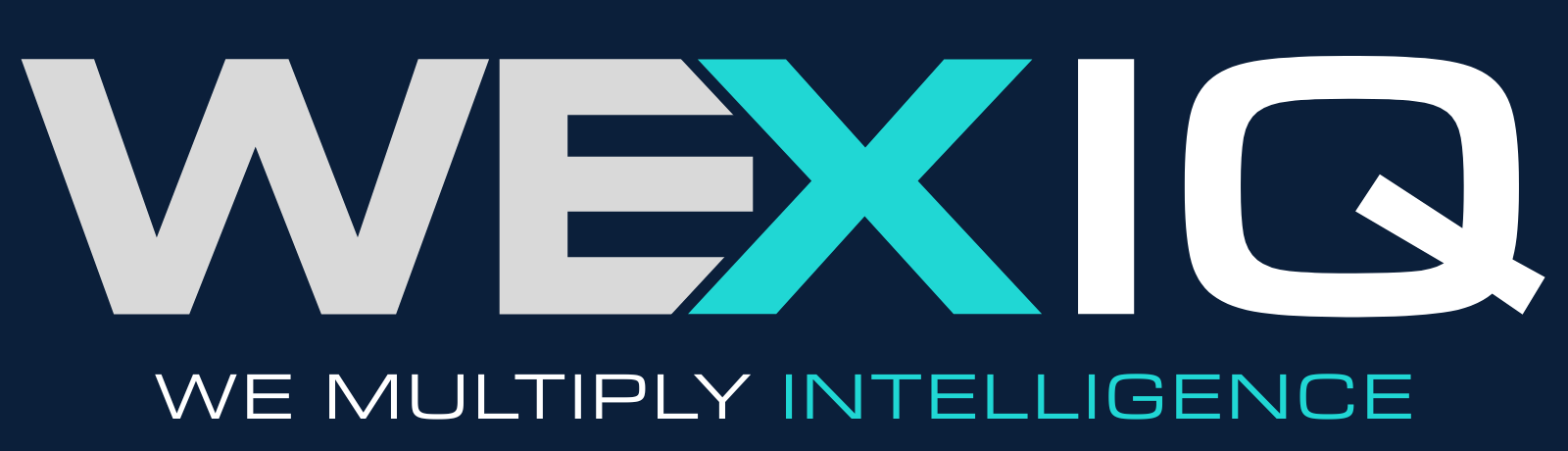 WExIQ - We Multiply Intelligence.